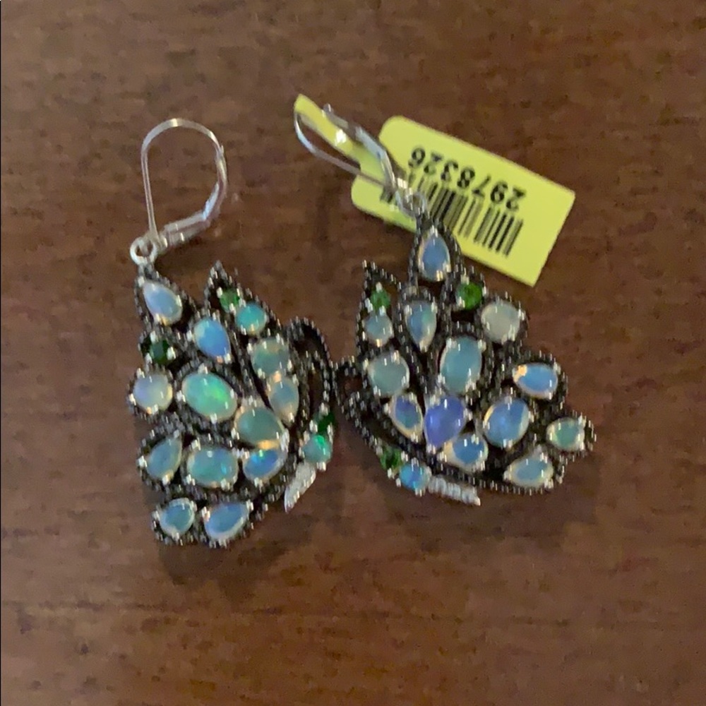 Earrings new